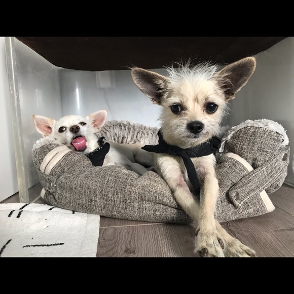 🌸 Meet your Posher, Adeline - Picture 4 of 4